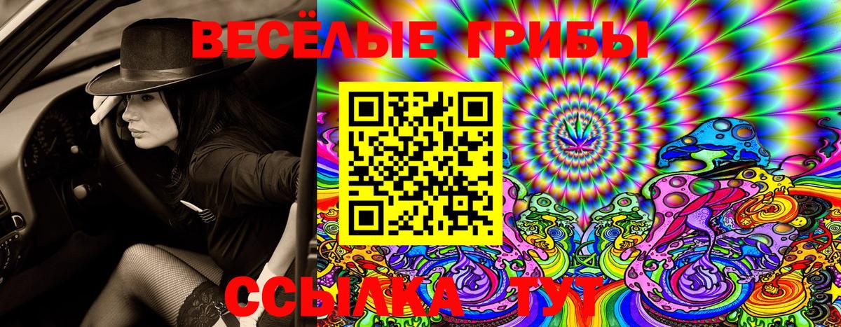 Псилоцибиновые грибы GOLDEN TEACHER Нефтекумск
